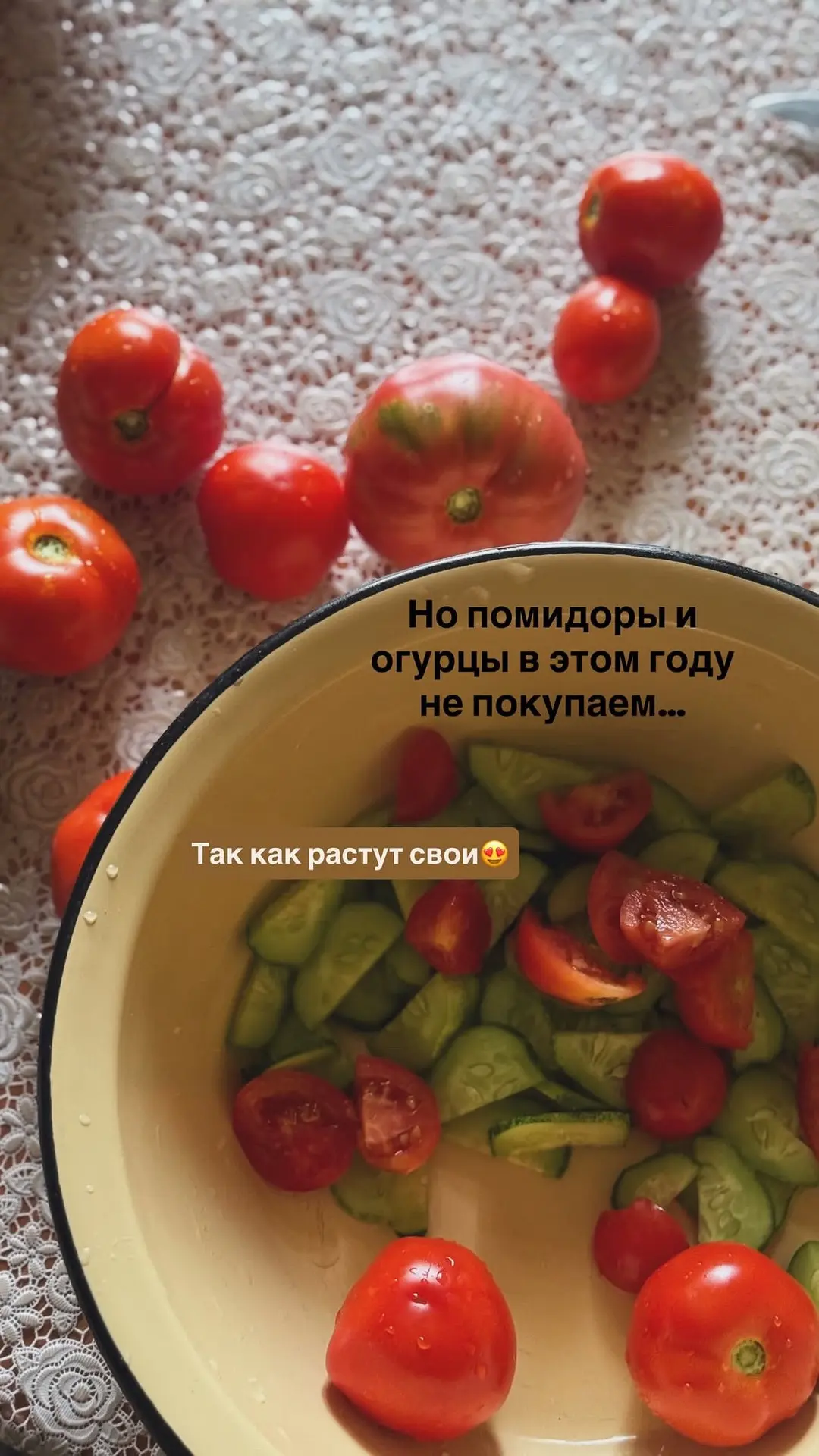Помидоры и огурцы в этом году не покупаем, так как мама выращивает свои ❤️

И посмотри какие они все