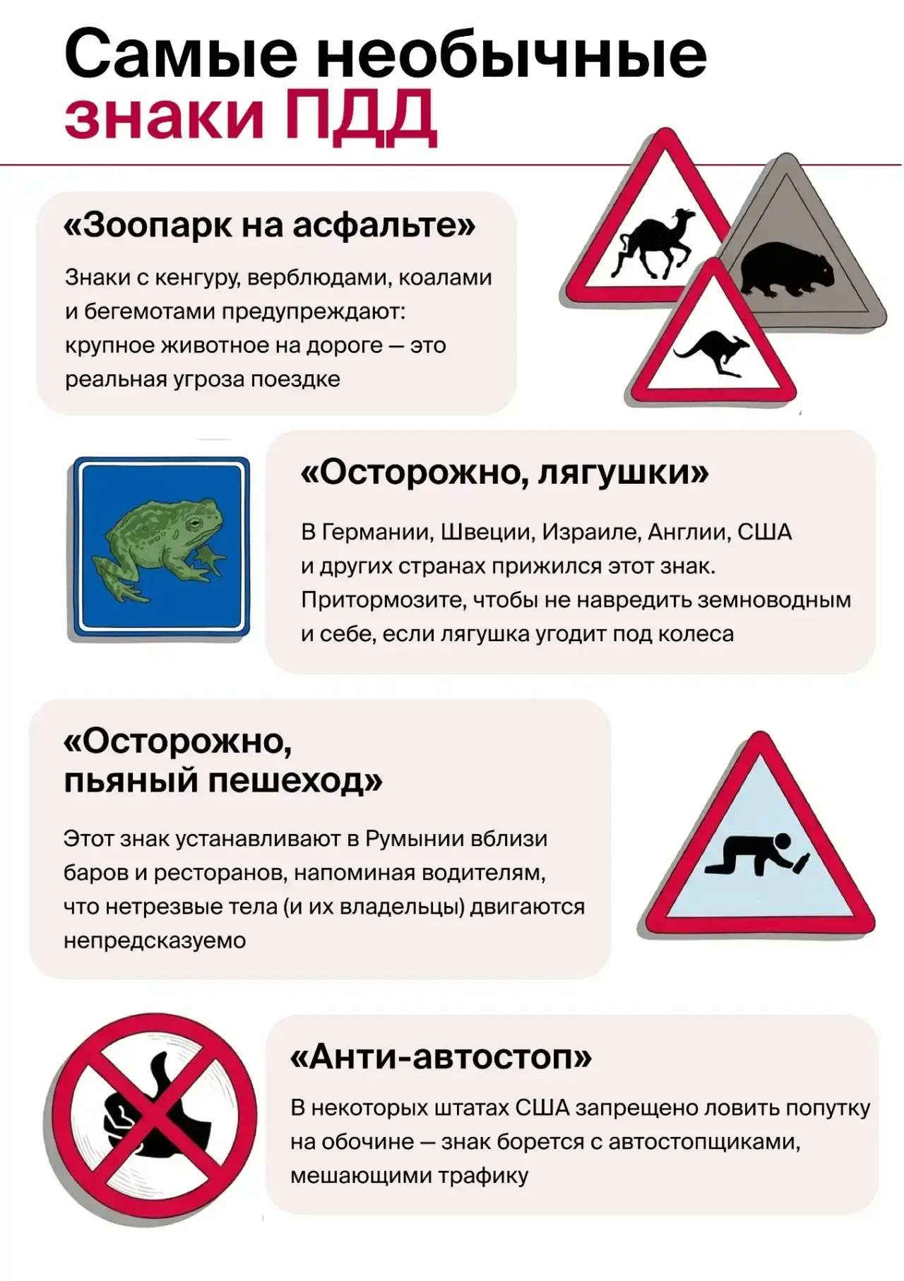 Что общего между лягушкой, троллем и лыжником? 🤔

Все они могут внезапно оказаться на проезжей част