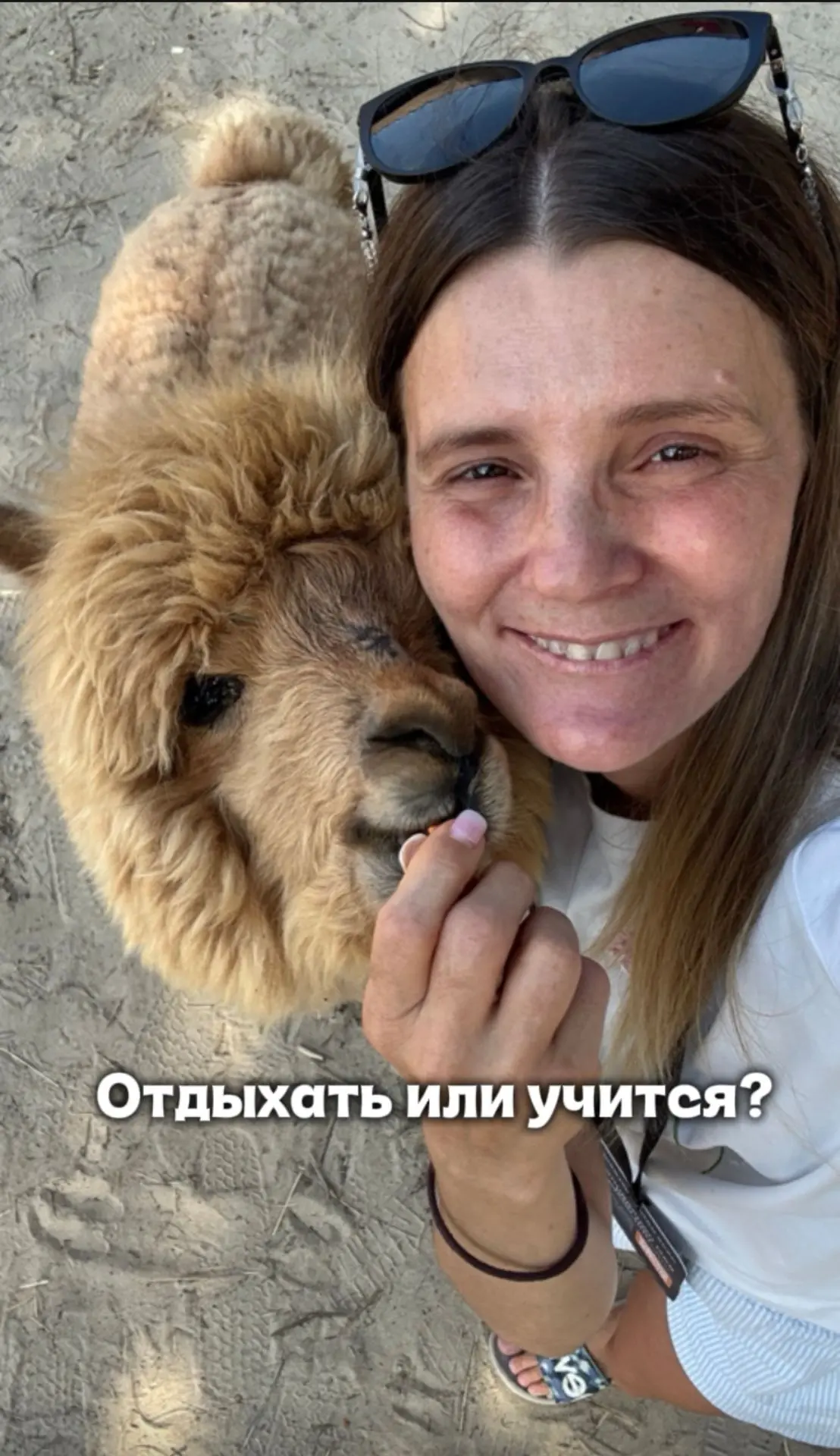 Хочется вернуть лето и не отпускать.