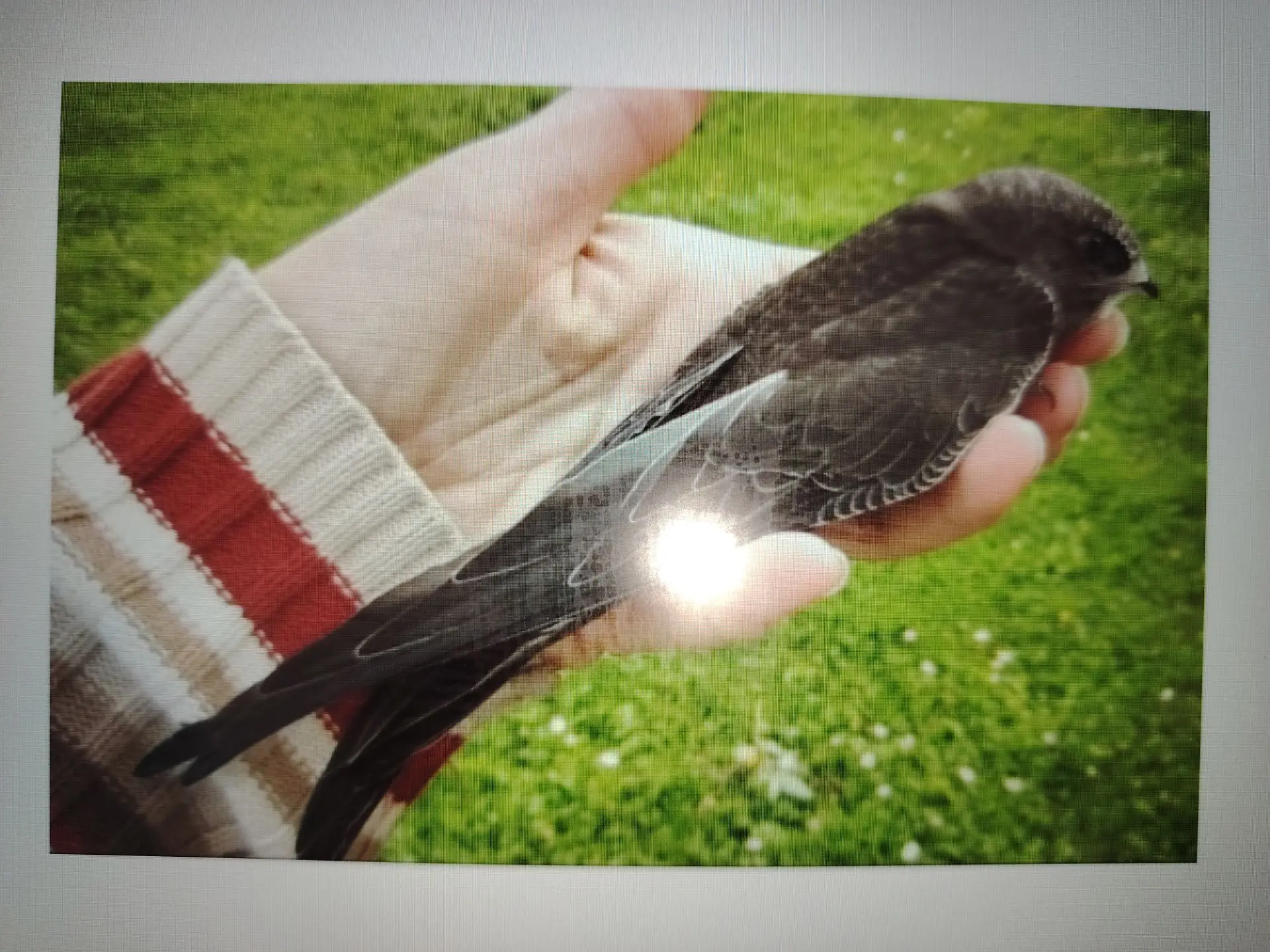 Очередной день лагерной смены прошёл под девизом "Сохраним природу для потомков!"🥀🐞🦗 Наш "волонтё
