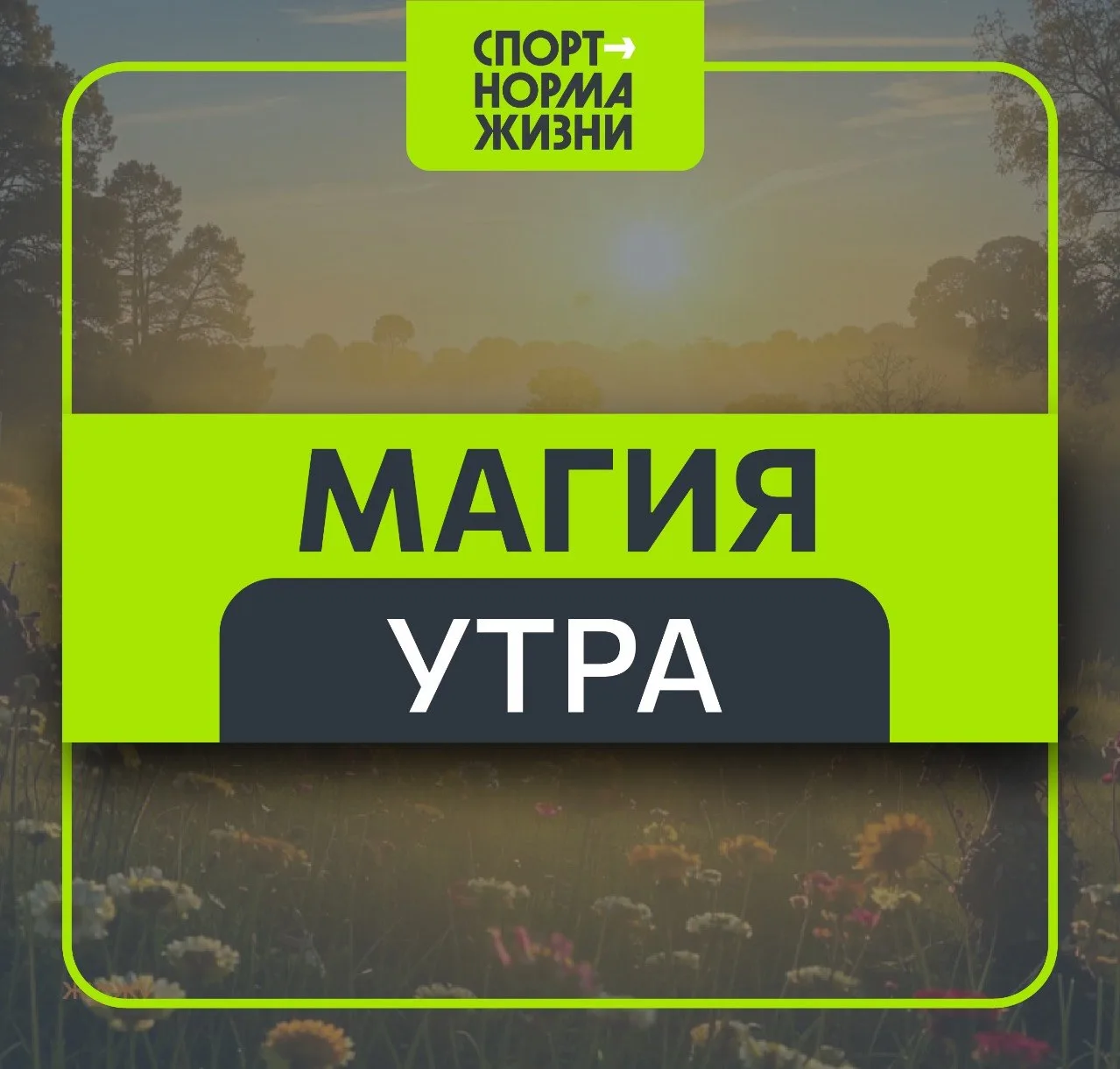 🌅 «Здоровый образ жизни»: Магия утра
