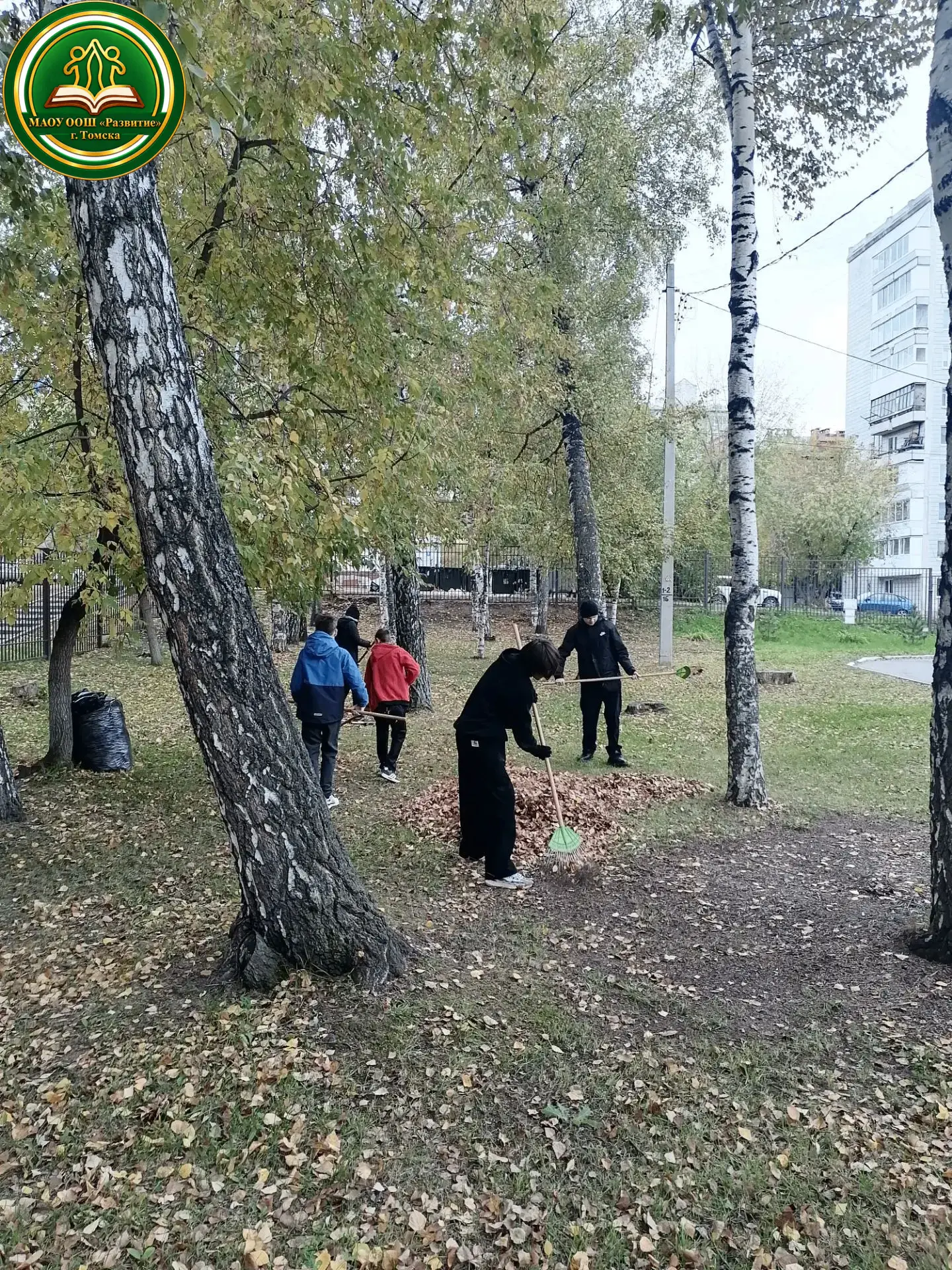 🍂🍁 Осень, листопад… а значит, есть повод привлечь ребят к общественно полезному труду...