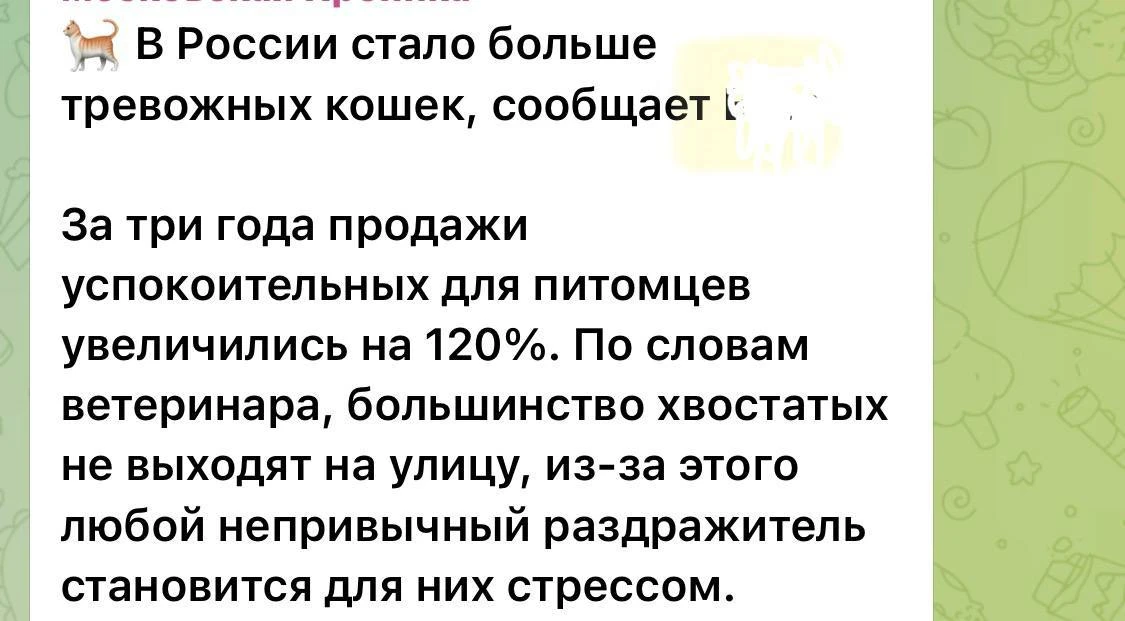 Новость прочитала и думаю, кошка и тревожность какое странное соседство 

Вот что вы думаете?