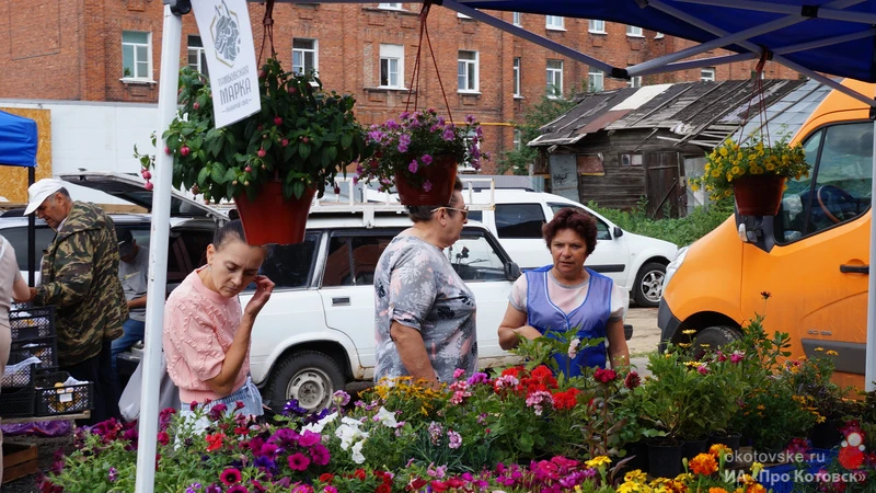 ✅ В Котовске 22 июня пройдёт ярмарка местных производителей «Выбирай своё»

✅ На ярмарке жители и го