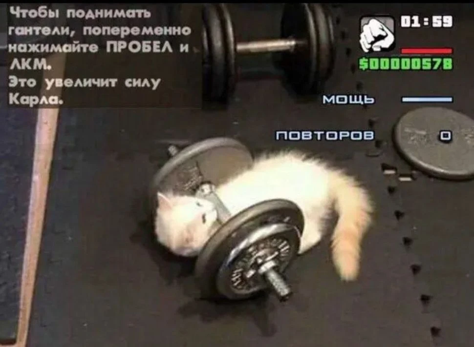 Вы поднакачались