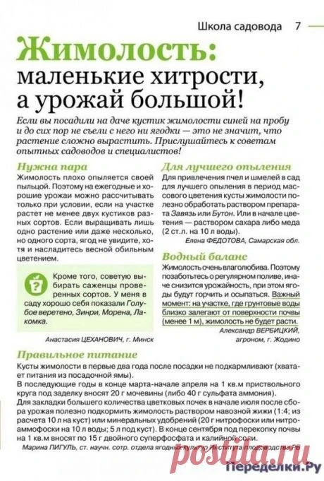 Дача | Подпишись 👇🏻