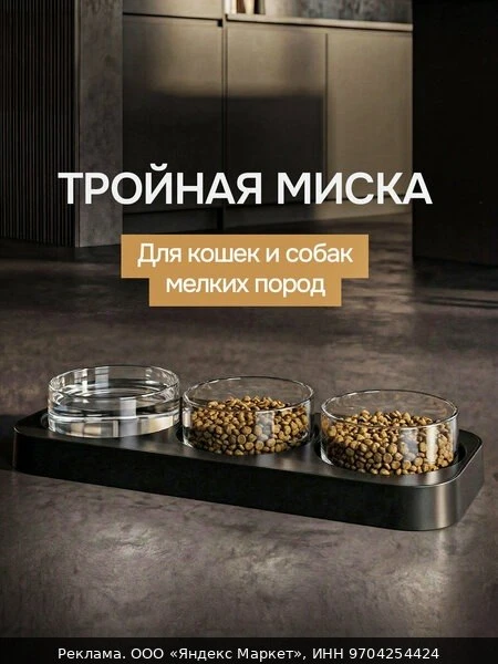 🔧Миски для животных, кошек, собак на подставке тройная черная с прозрачными мисками