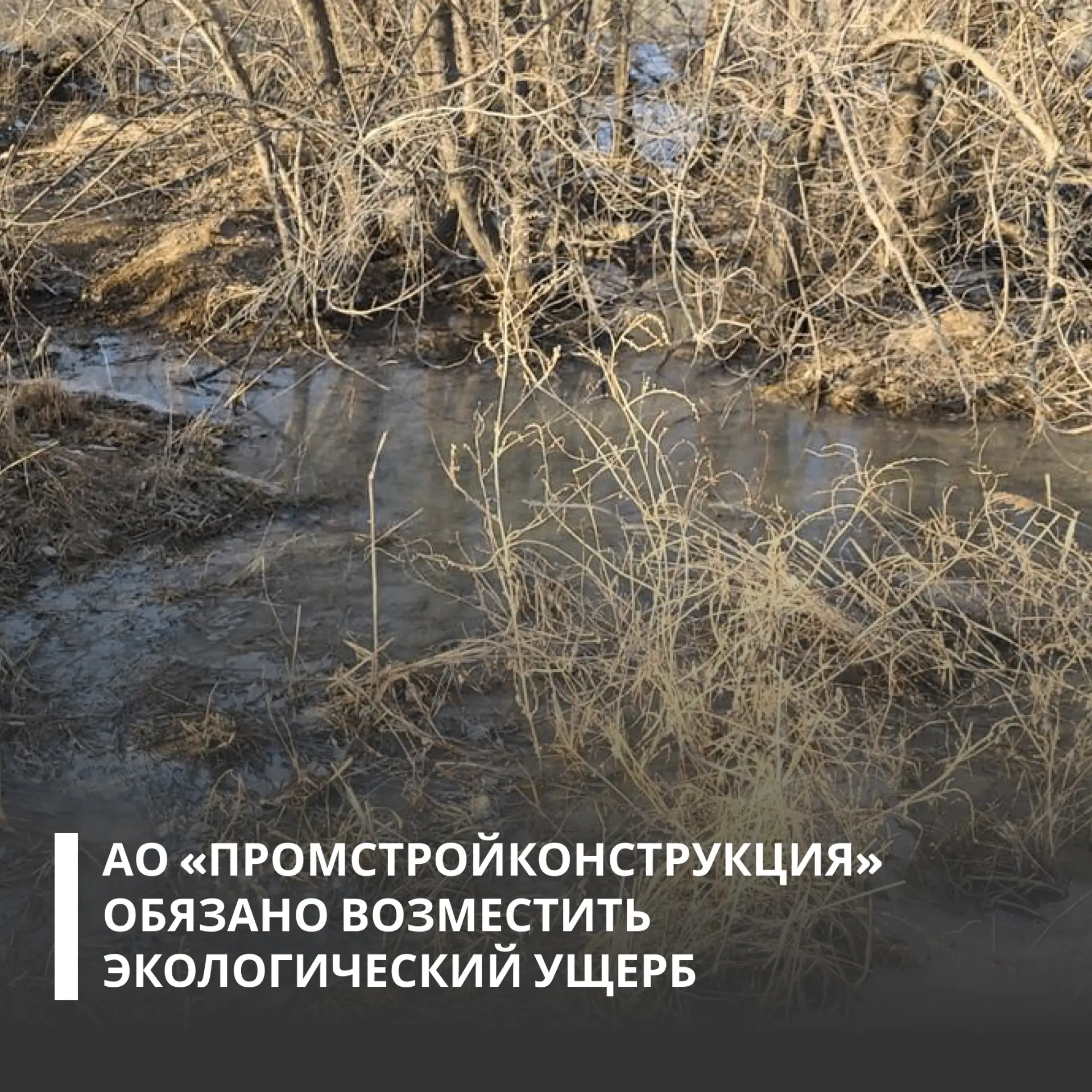 Суд поддержал требования Росприроднадзора и обязал предприятие компенсировать вред, причиненный почв