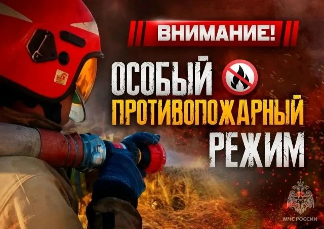 Особый противопожарный режим: огонь под запретом