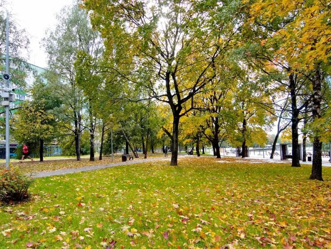 🍂 Осень пришла в парк «Ангарские пруды»
