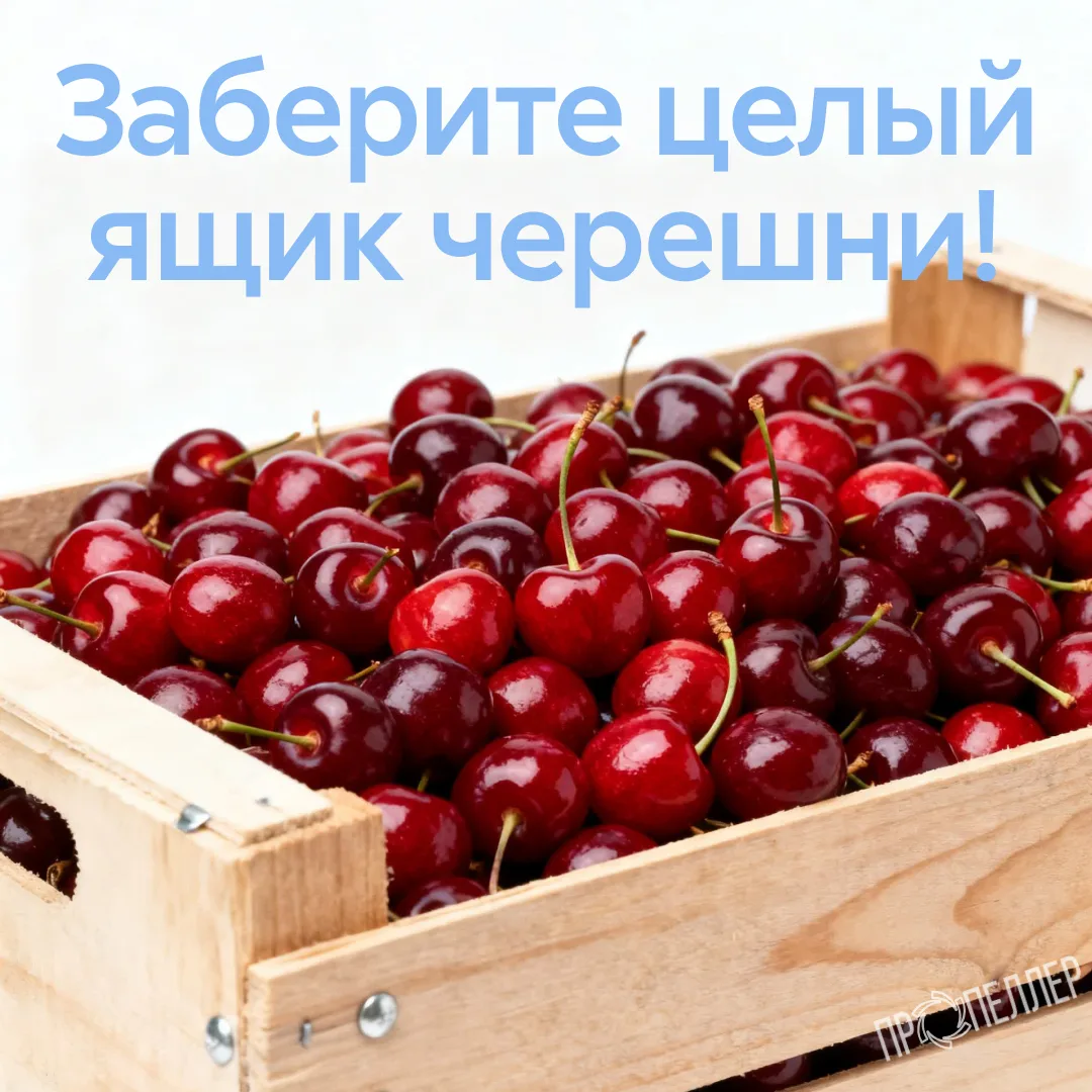 Сессию закрыть, ягодный сезон открыть!