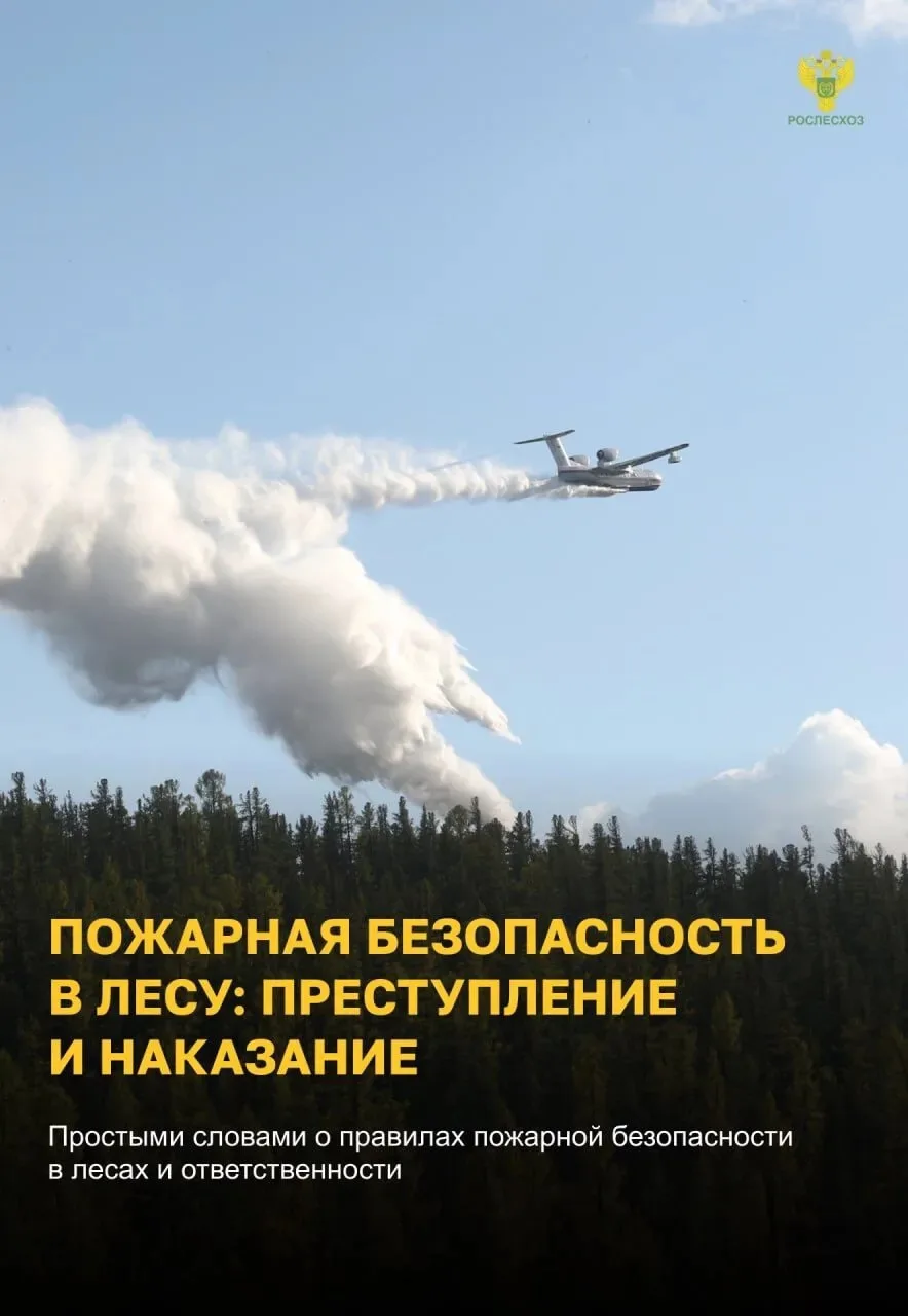 🔥 «Останови огонь!» — простые правила, которые могут спасти жизни.