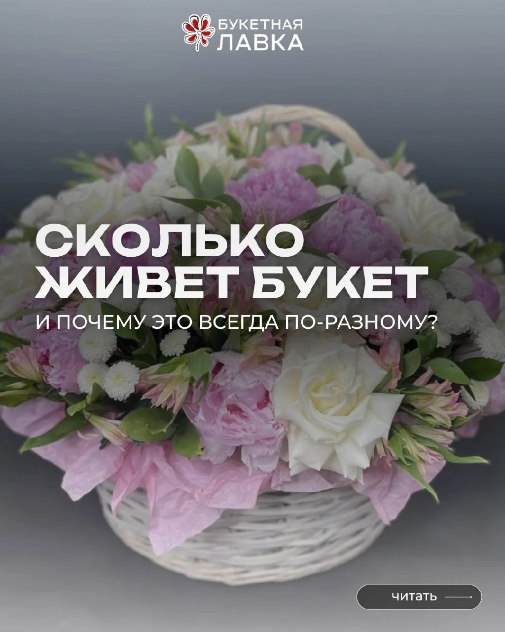 ✨ПОЛЕЗНОЕ✨