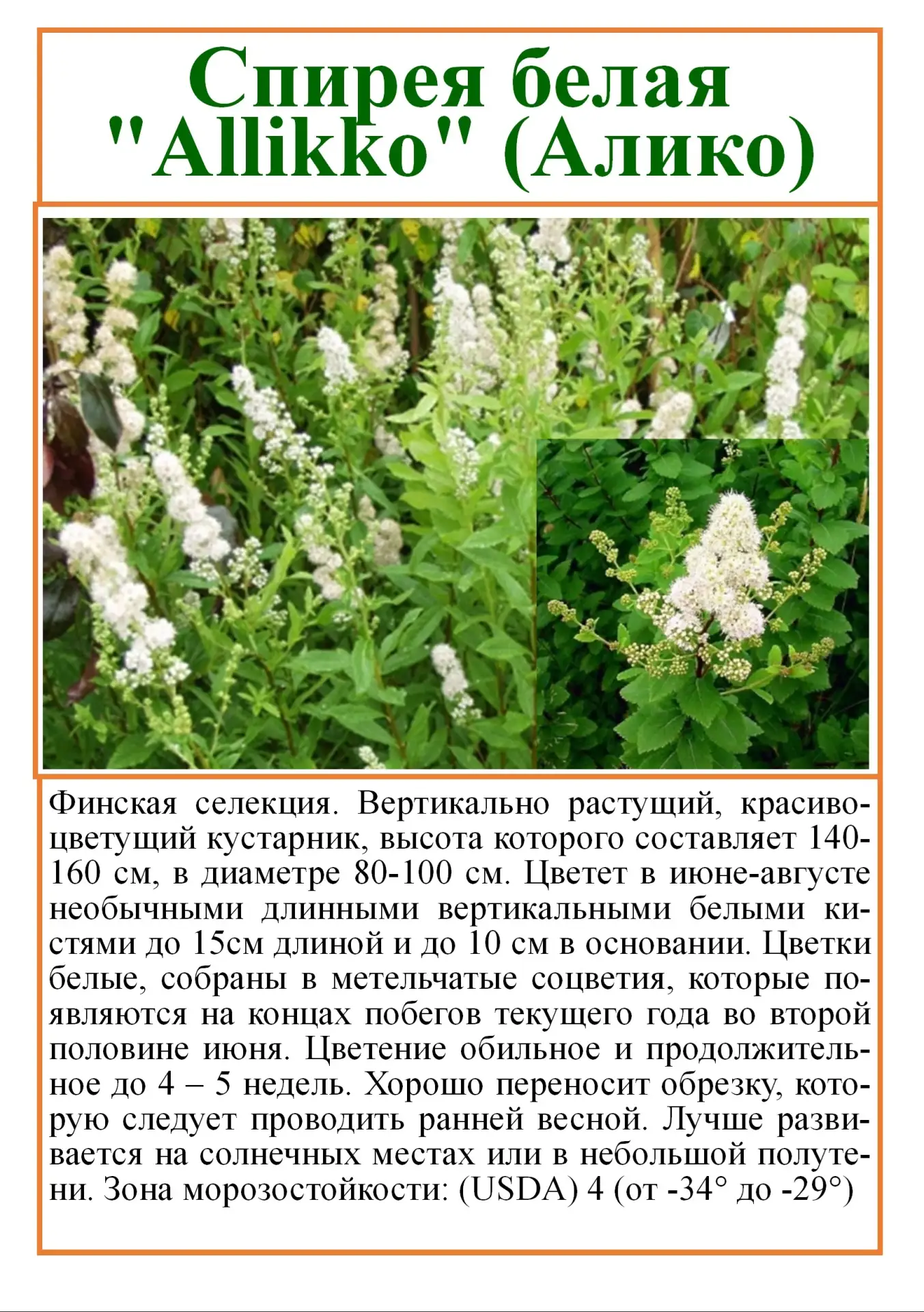 Питомник растений Рассада Ру 
с.Ягодное, Производственный проезд д.15 /18 
т.619-618
