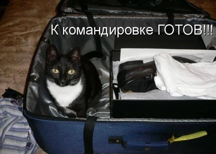 💼 Бизнес меняет подход к командировкам
