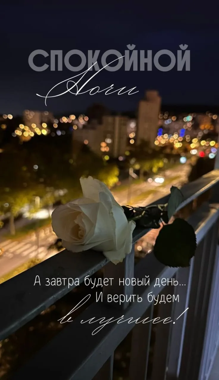 🌛 Доброй ночи!