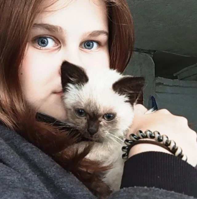 Маленький котенок - Ириска 🐈