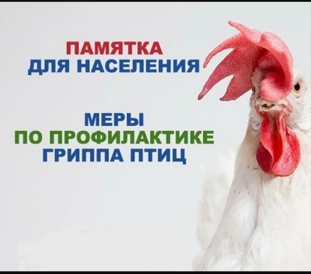 В рамках поручения Минсельхоза России проходит месячник по обеспечению биологической за...