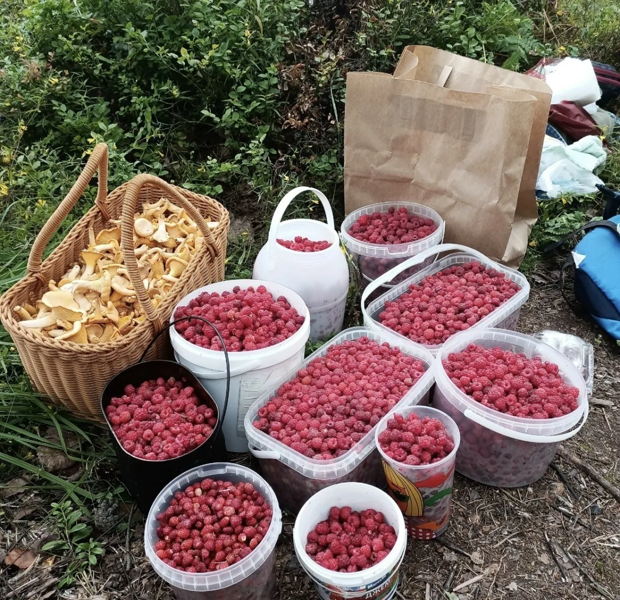 Всеволожский район