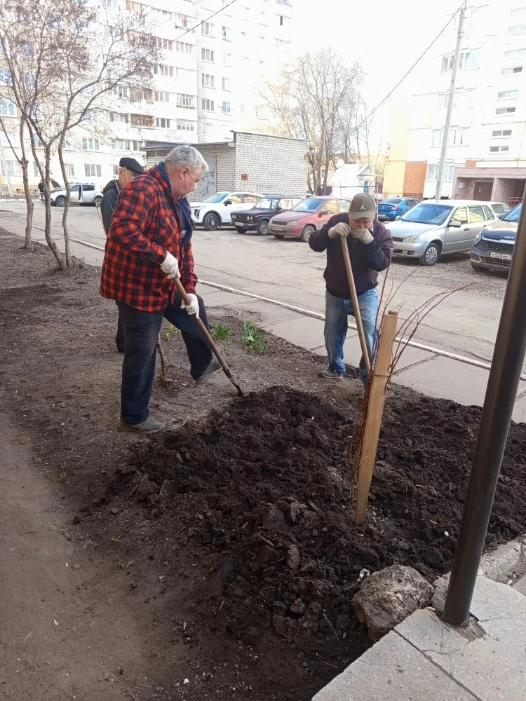 01.04.2026 совместно с жителями многоквартирного дома №3 по ул.Осипенко был организован...