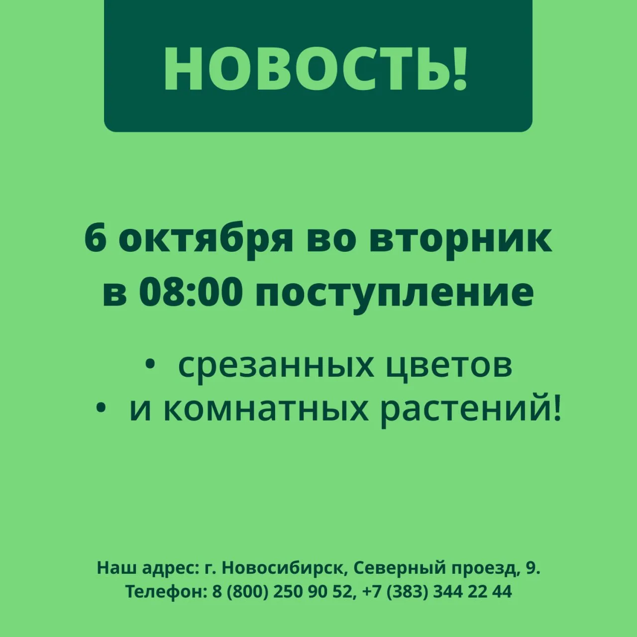 ‼️ НОВОСТЬ: