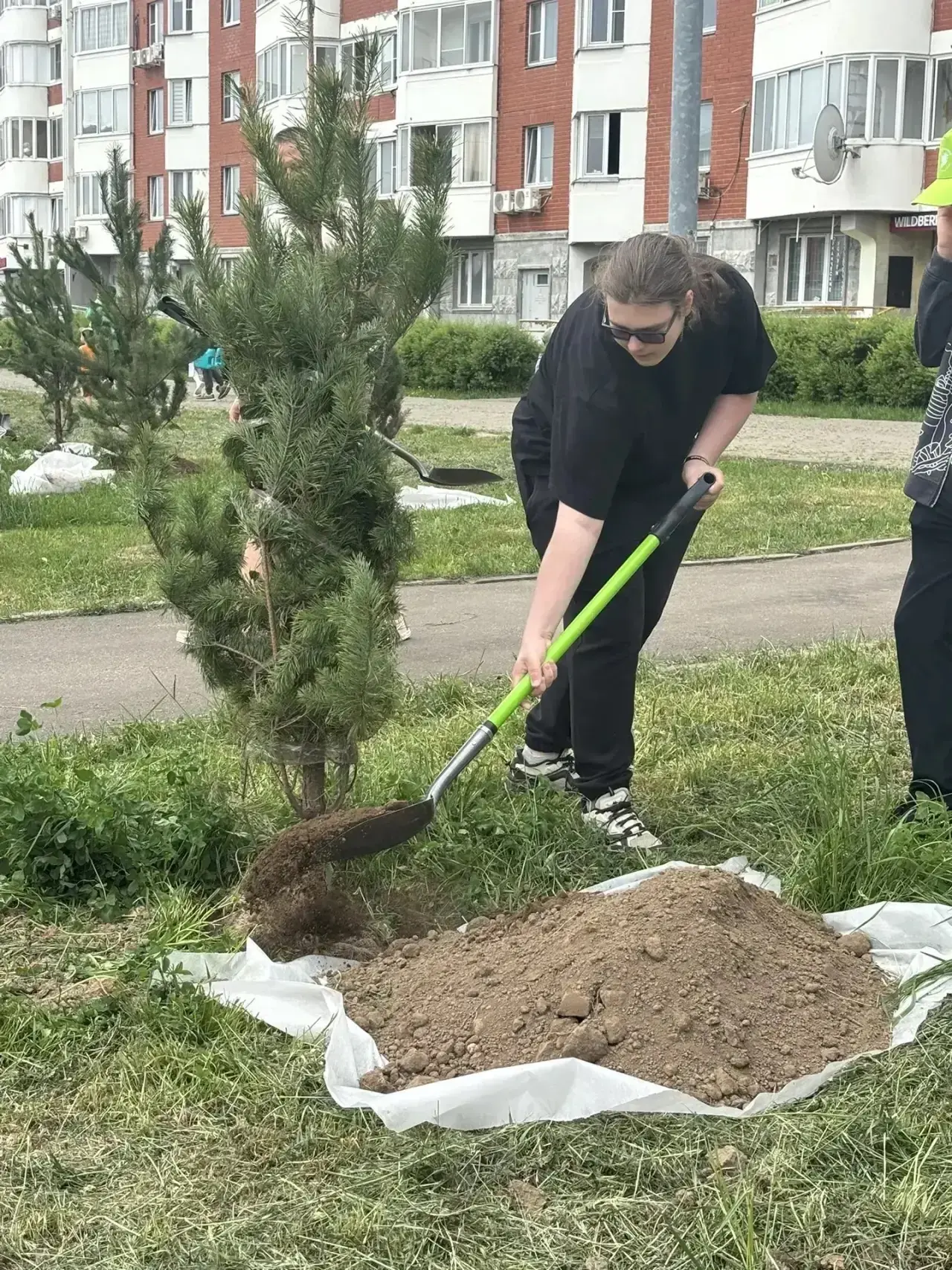 Не просто дерево. Память. Гордость. Жизнь.  Есть моменты, когда тишина говорит громче слов. Один из 