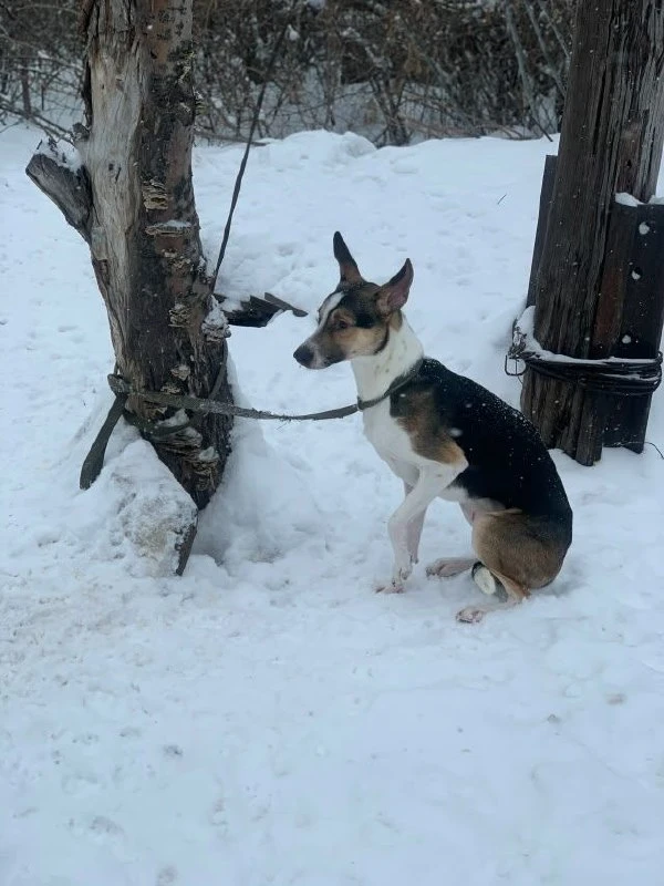 Люк😋
