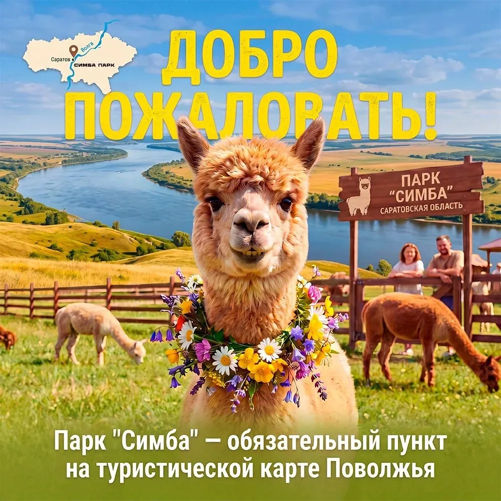 Пушистый тренд: парк альпак «Симба» меняет досуг в Поволжье.