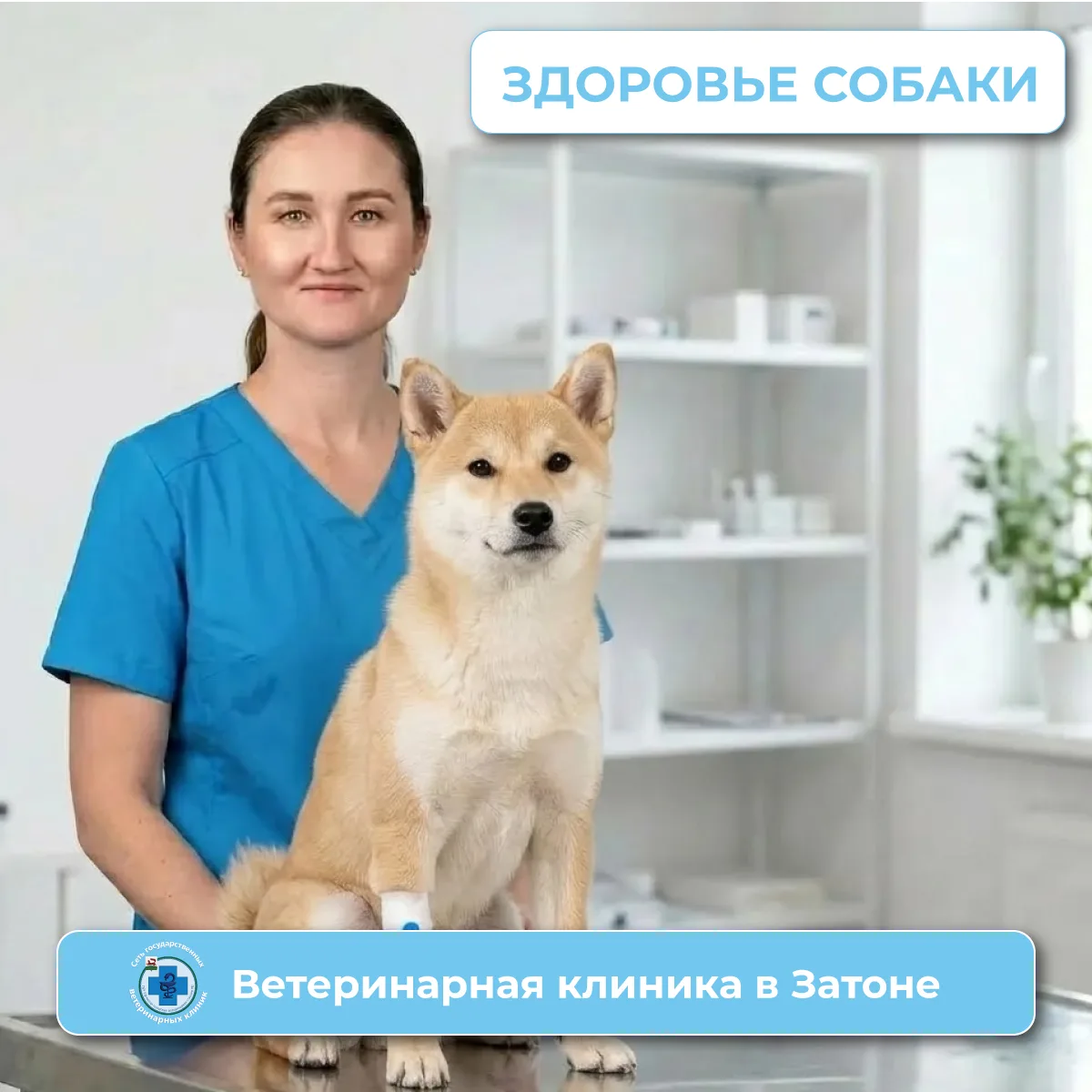❗️ВНИМАНИЕ: ПАРАЦЕТАМОЛ — ЭТО ЯД ДЛЯ ВАШЕЙ СОБАКИ!