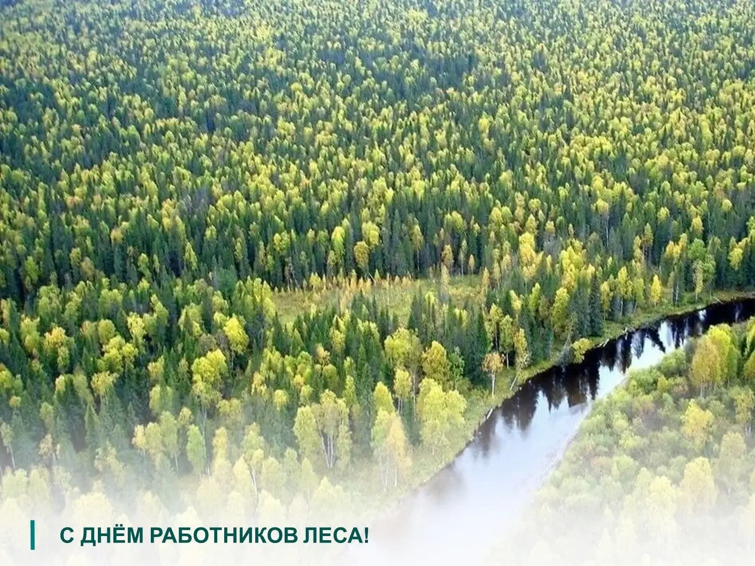 Уважаемые коллеги!