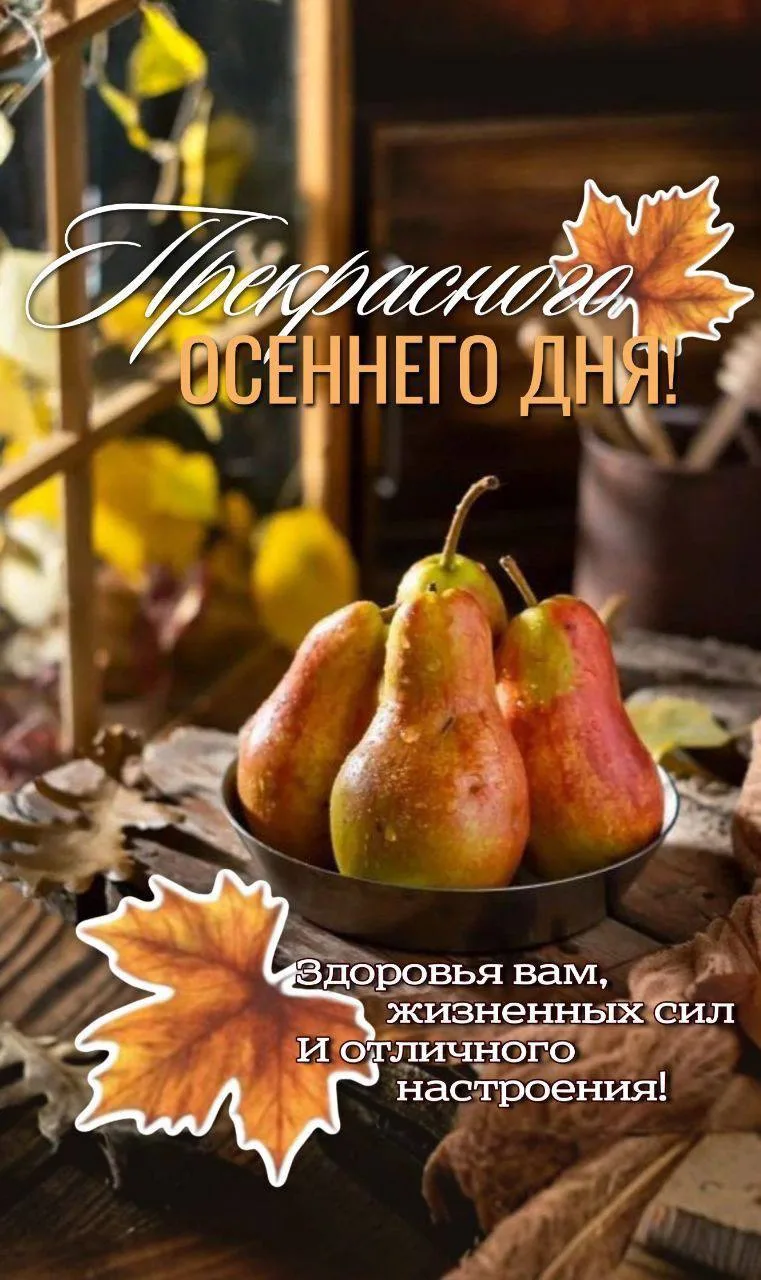 Женские открытки💝