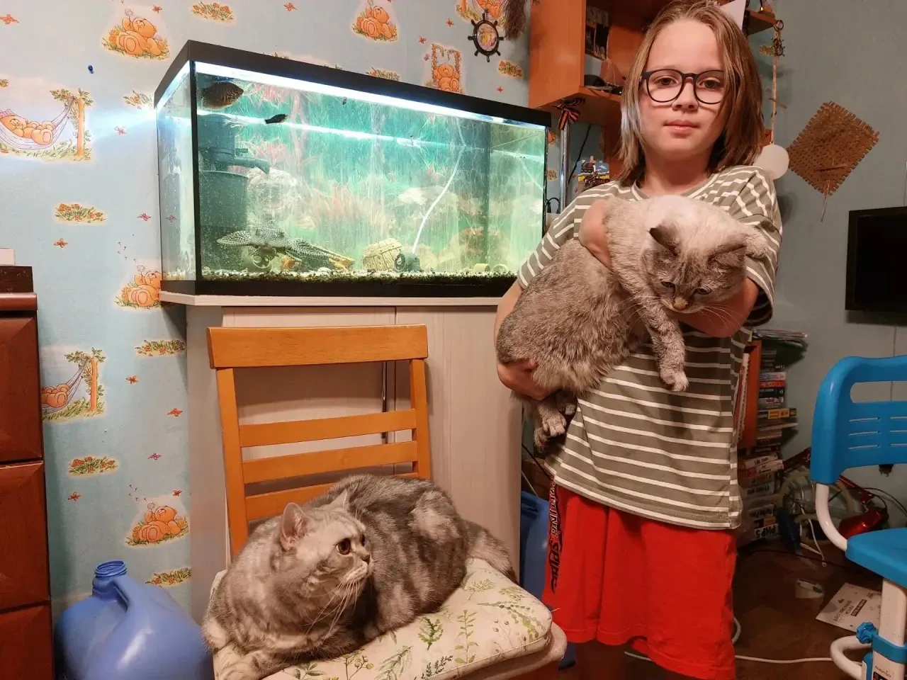 😺🐶Акция: «Моё сердце — их защита»