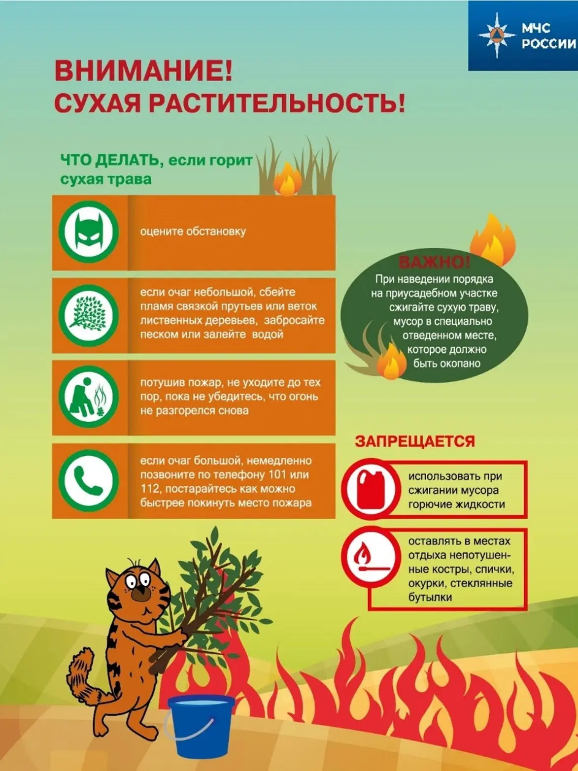Что делать, если горит сухая трава.