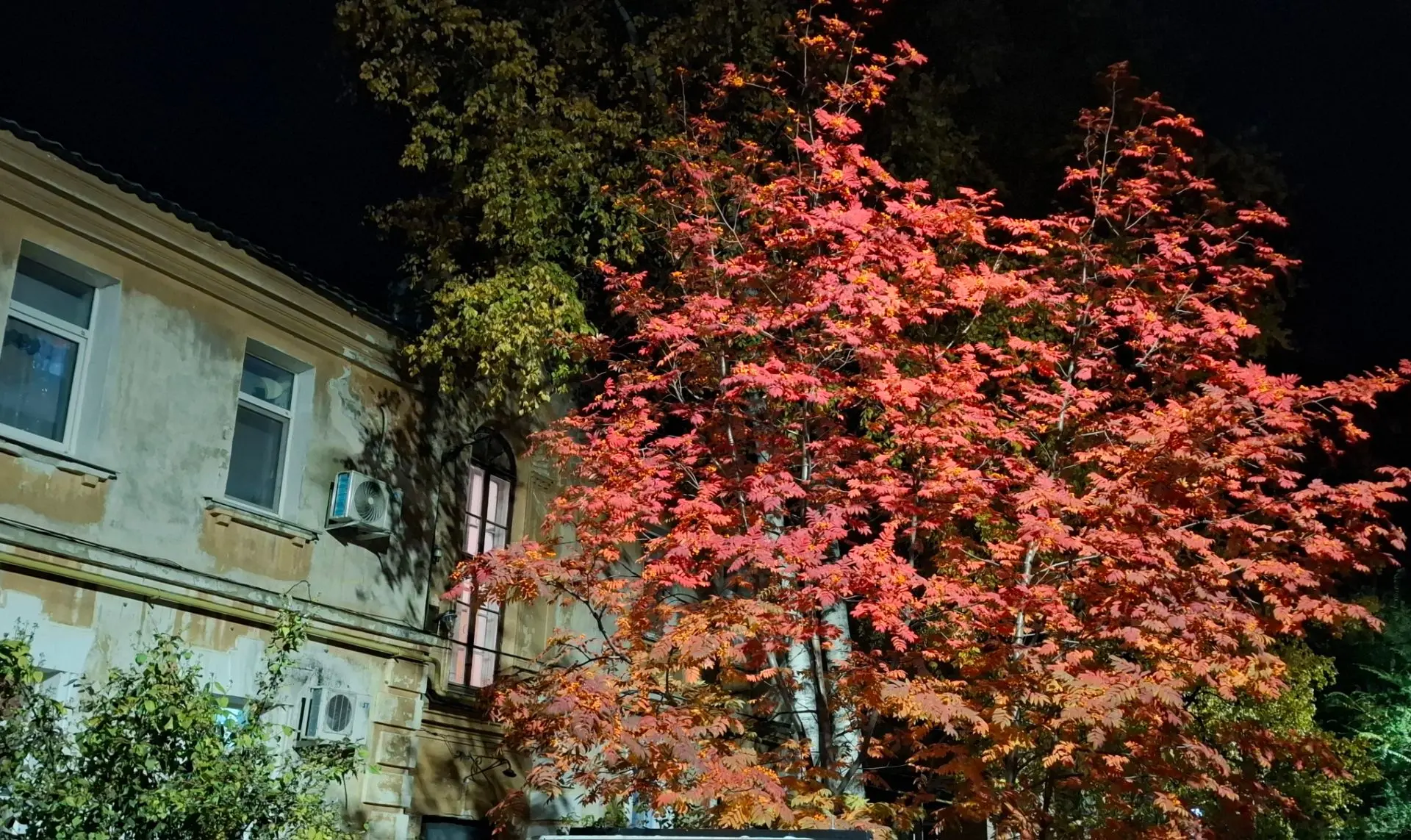 Комсомольчане,  доброй вам ночи!