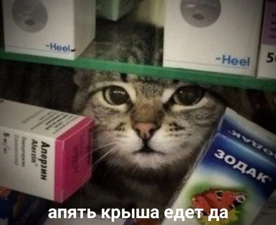 🩺💙 Полезные покупки для здоровья — со скидкой