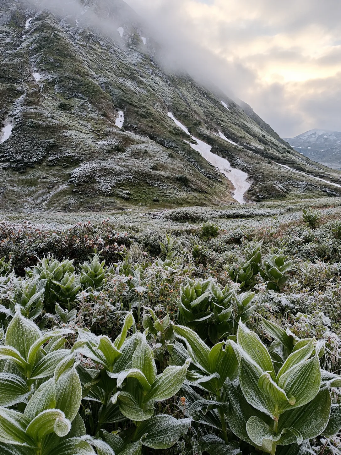 🏔 Зима добралась до гор: в Кавказском заповеднике закрывают первый маршрут