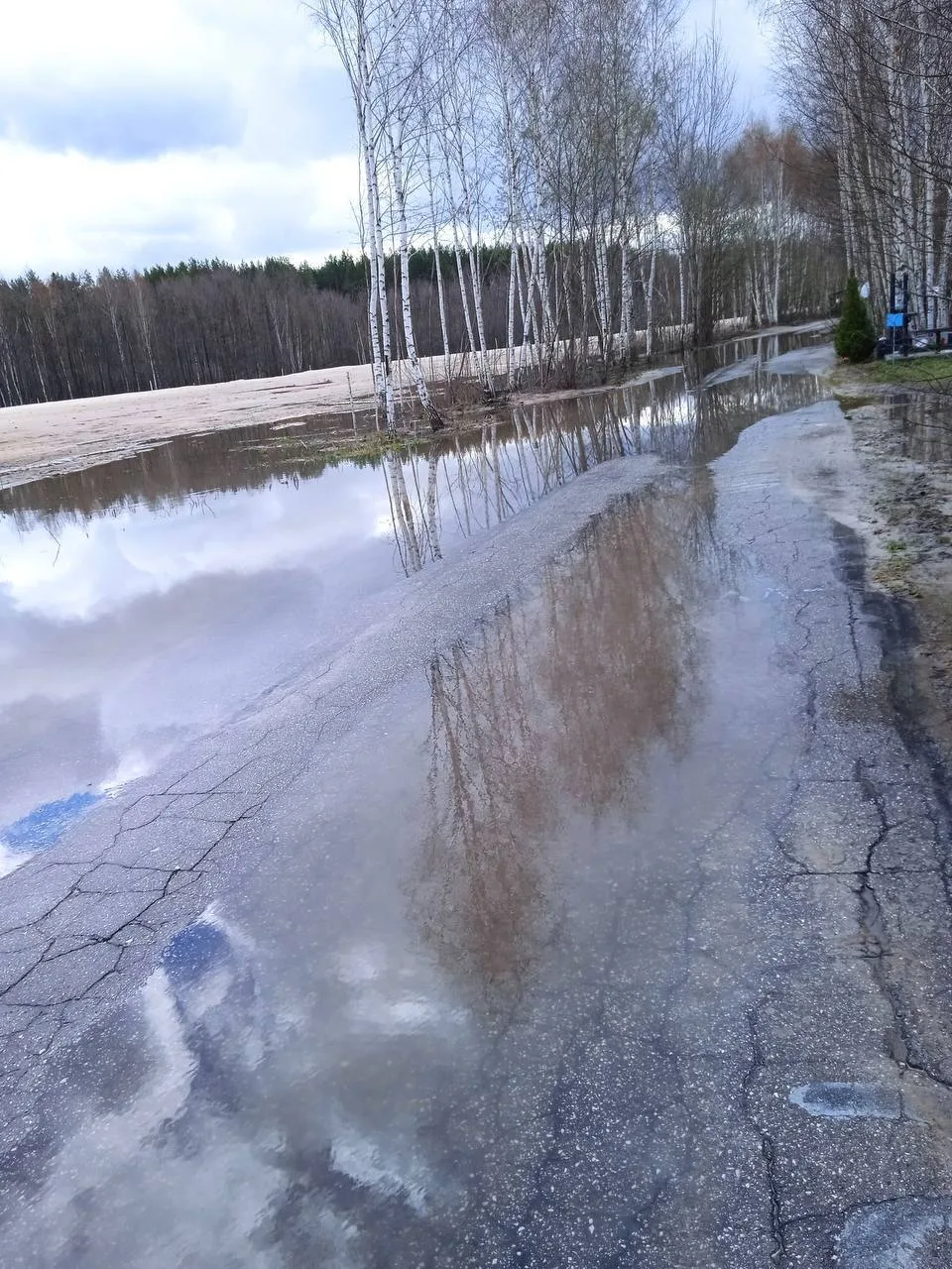 🌊 Ново-Стригинское кладбище ушло под воду  Погост на Автозаводе превратился в болото из-за сильного 