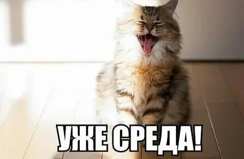 🗓️ Среда — самый продуктивный день недели