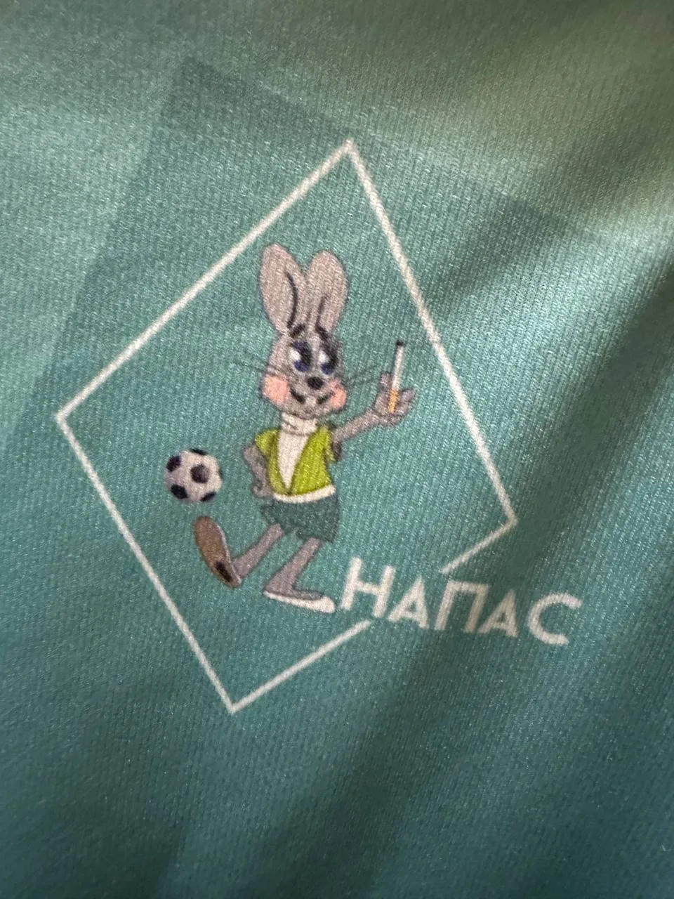 Самые креативные название и эмблема в нижегородском футзале?