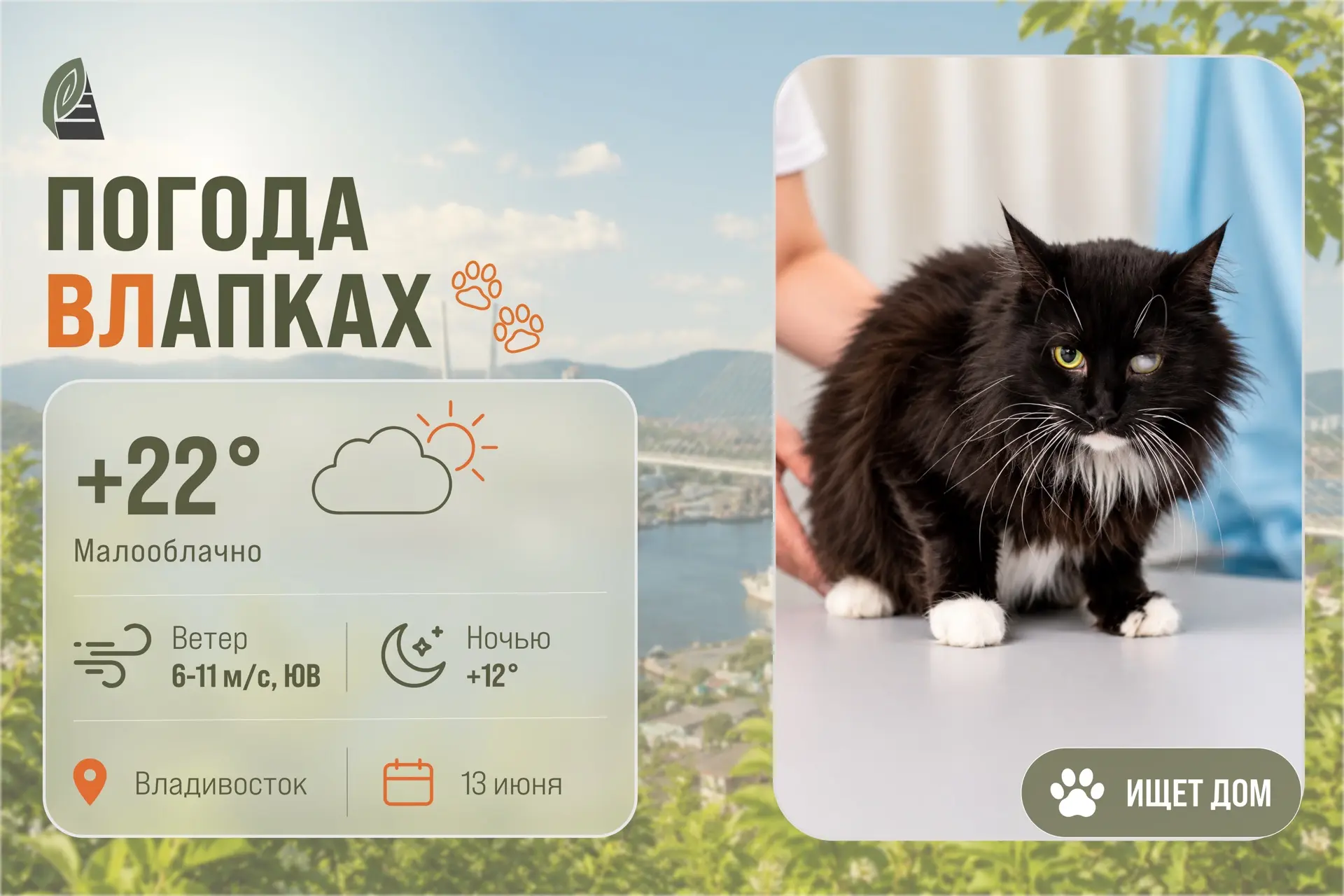 #ПогодаВЛапках

🌤️ Малооблачно. 

В прогнозе – Муссон – большой кот с нежным характером. Когда-то о