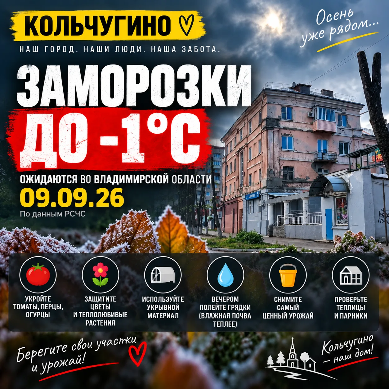 До −1 °C уже этой ночью: дачников Владимирской области предупредили о заморозках
