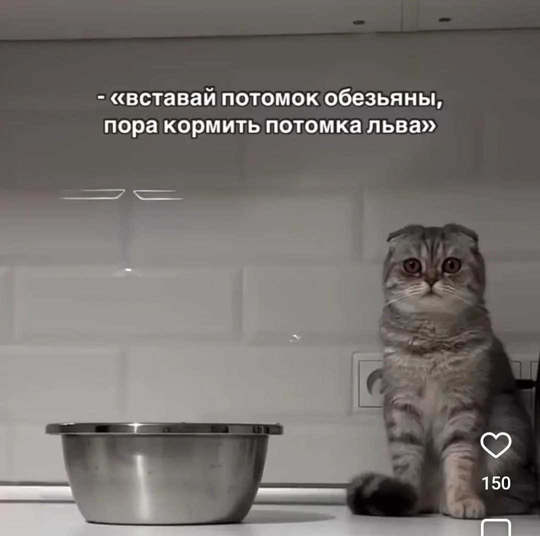 Наш канал ЛУЧИК РАДОСТИ ✨