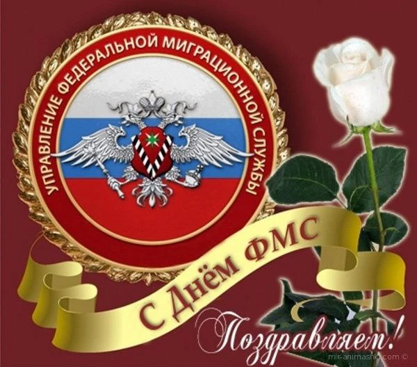 14 июня – День сотрудника миграционной службы. День работников миграционной службы – профессиональны