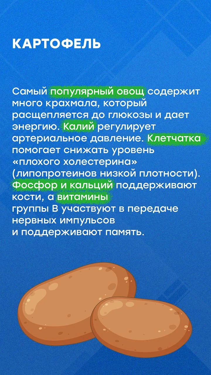 Осенью садоводы собирают урожай. Чаше всего на грядках и в садах северо-запада России р...