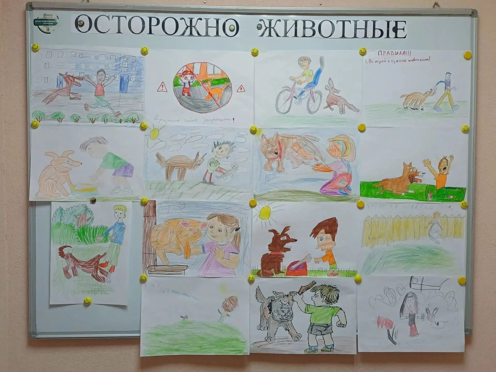 Медиа публикации