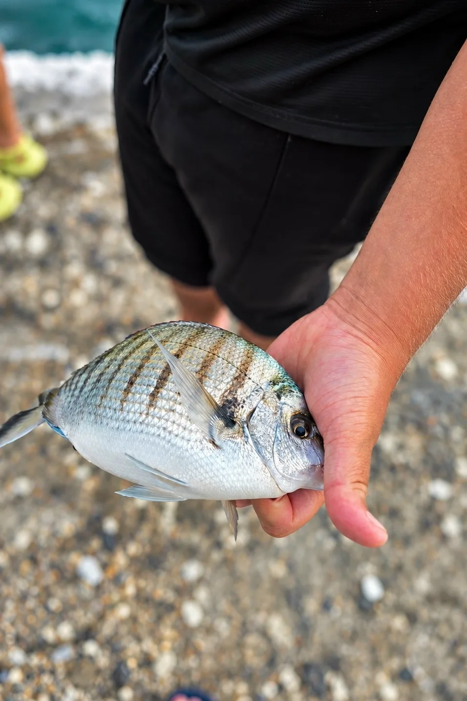 🎣 Мечта, которую давно хотелось осуществить — порыбачить в море! И вот наконец получил...