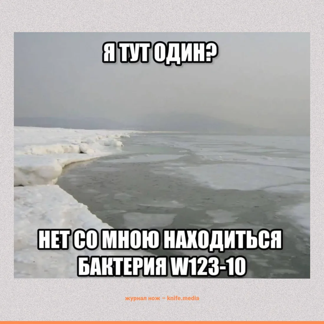 Одиночество стало глобальной эпидемией. 

Ученые из ВОЗ пришли к выводу, что изоляция от социума так