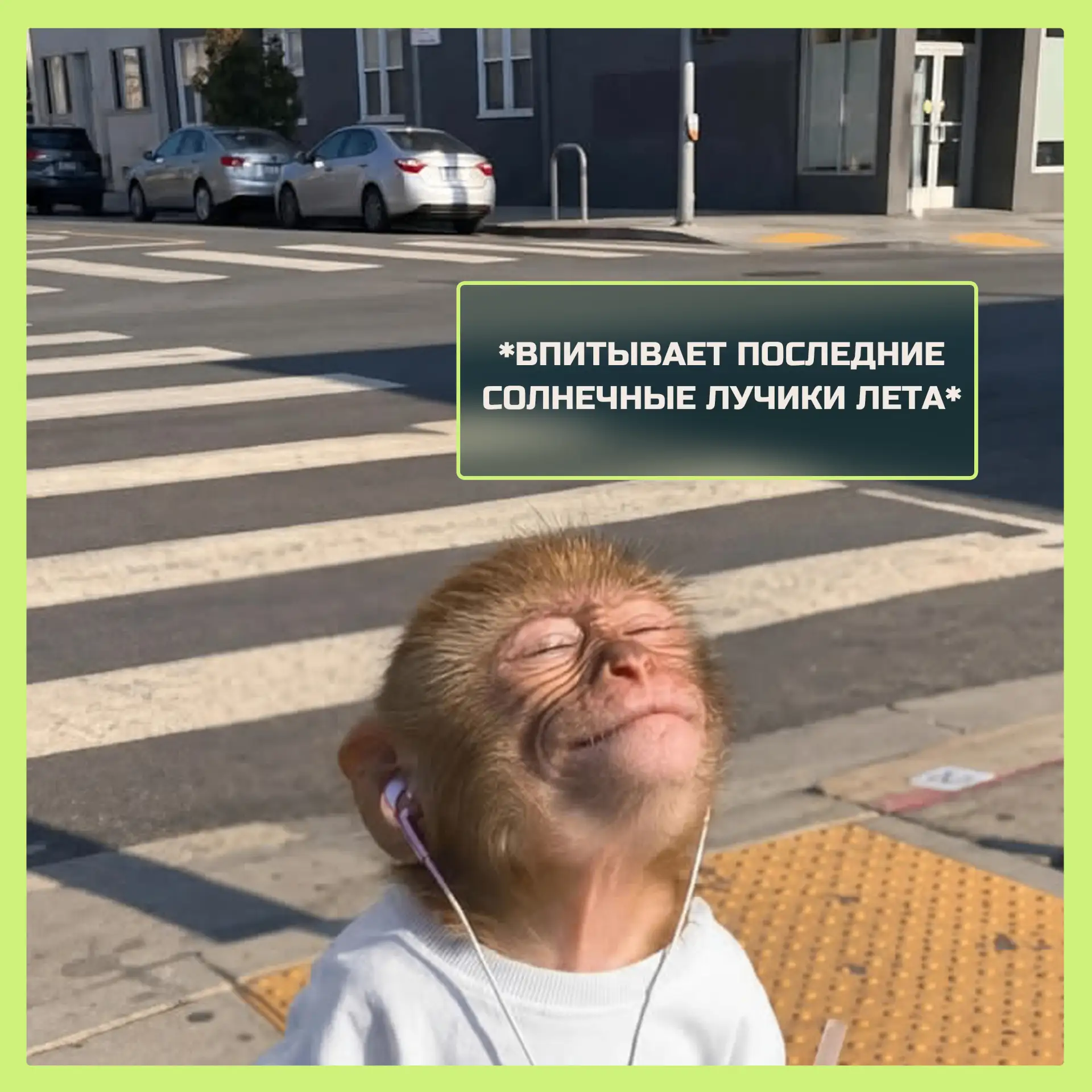 👀   Осень подкралась незаметно!