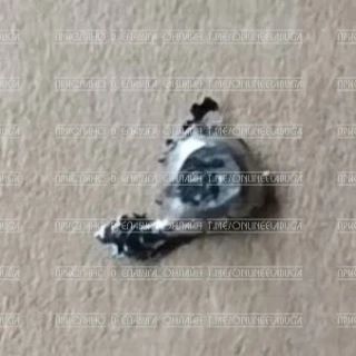 30 августа купили лепешки. Несколько штук осталось. Сегодня в одной из них обнаружили в...