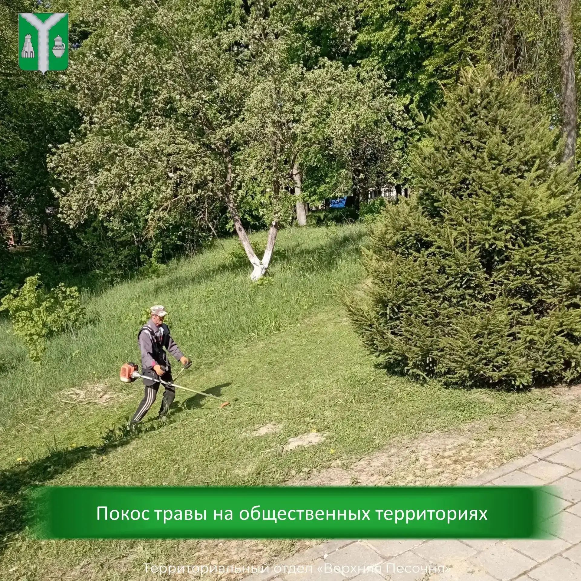 Время косить траву!